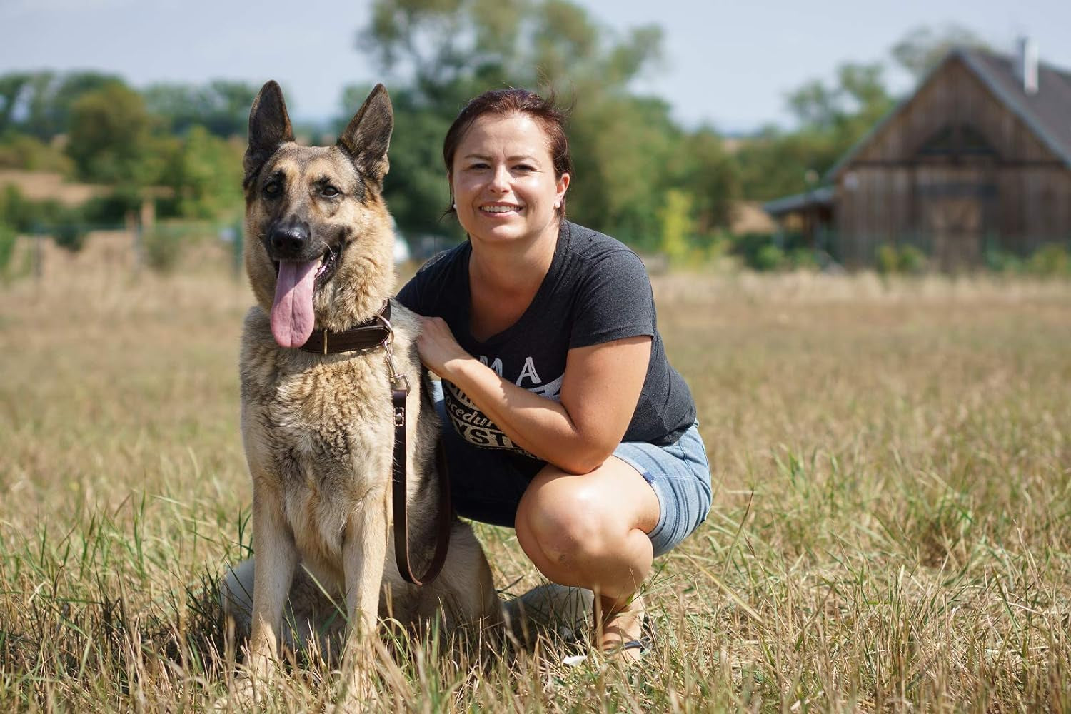 Leather Dog Training Leash - Brown 6 Ft Long X 3/4" Wide Dog Walking Leash Best for Medium Large Dogs, Latigo Leather Dog Lead & Puppy Trainer Leash